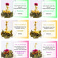 [Christmas Gift] Flower Blooming Tea - Pack of 5 or 10 Assortment