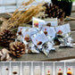 [Christmas Gift] Double Wall Brew & Serve Glass Cup  w/ Blooming Teaballs