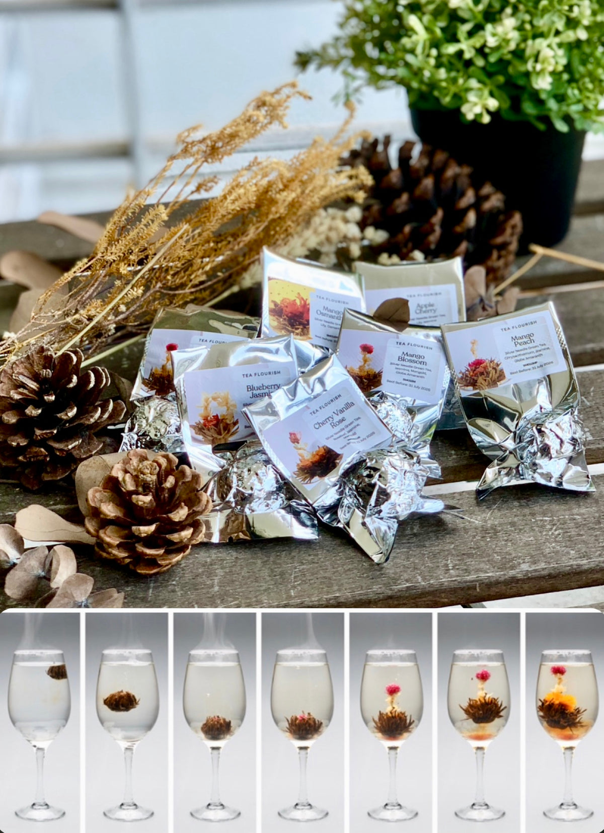 [Christmas Gift] Double Wall Brew & Serve Glass Cup  w/ Blooming Teaballs